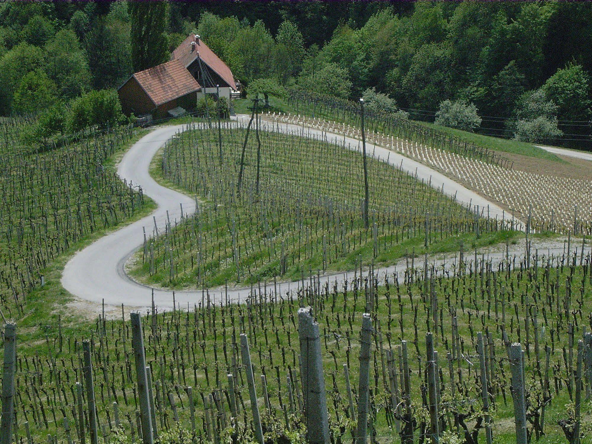 Weingut Primus Suedsteiermark Spielfeld Εξωτερικό φωτογραφία