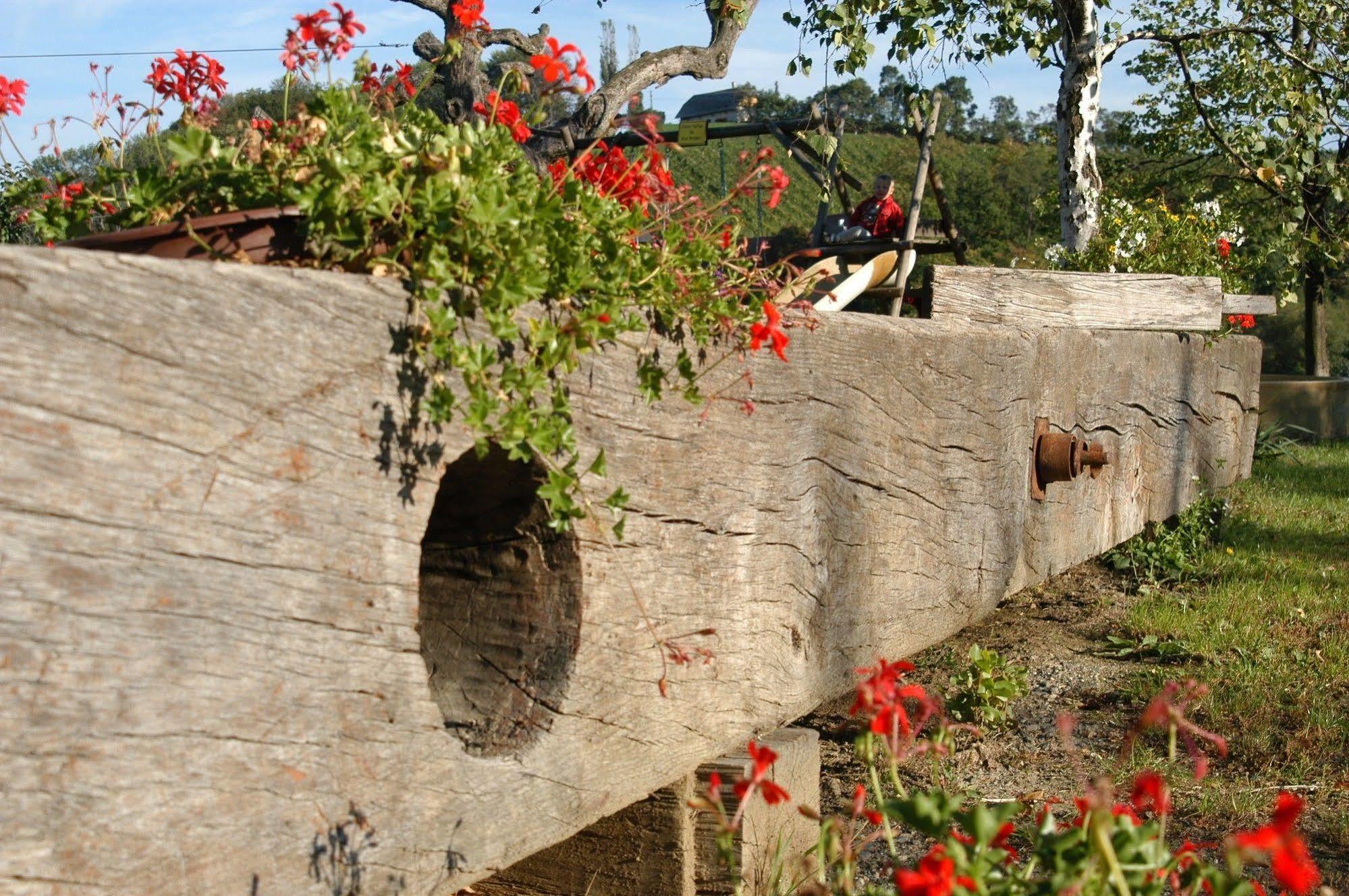 Weingut Primus Suedsteiermark Spielfeld Εξωτερικό φωτογραφία