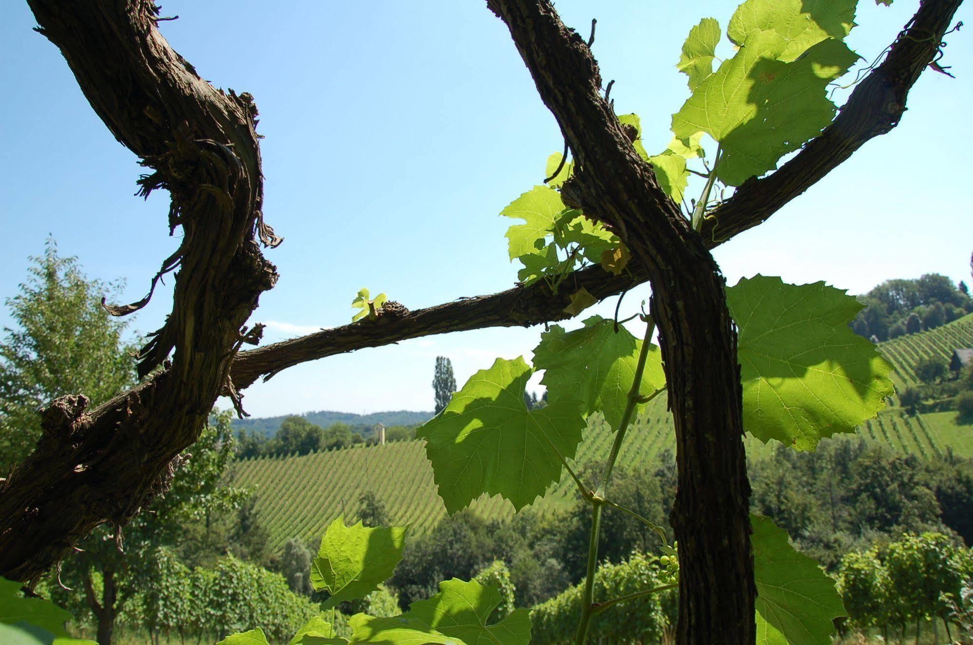 Weingut Primus Suedsteiermark Spielfeld Εξωτερικό φωτογραφία