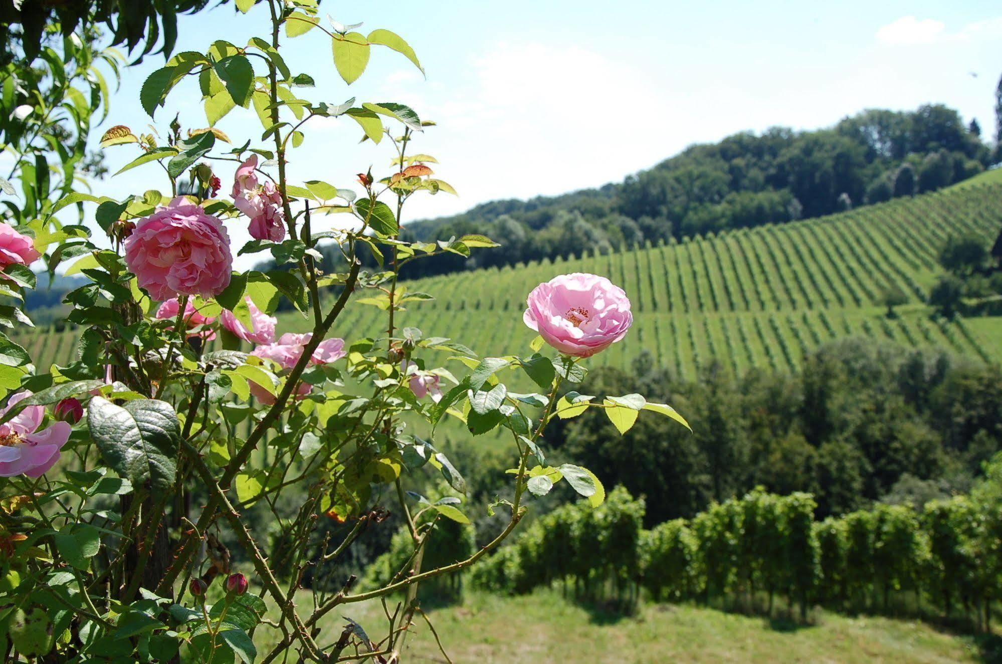 Weingut Primus Suedsteiermark Spielfeld Εξωτερικό φωτογραφία